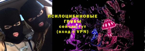 экстази Заречный