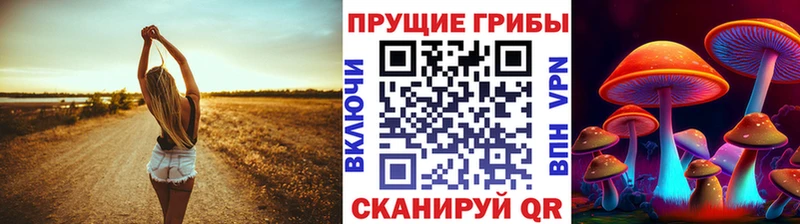 Псилоцибиновые грибы Magic Shrooms  закладка  Кириши 