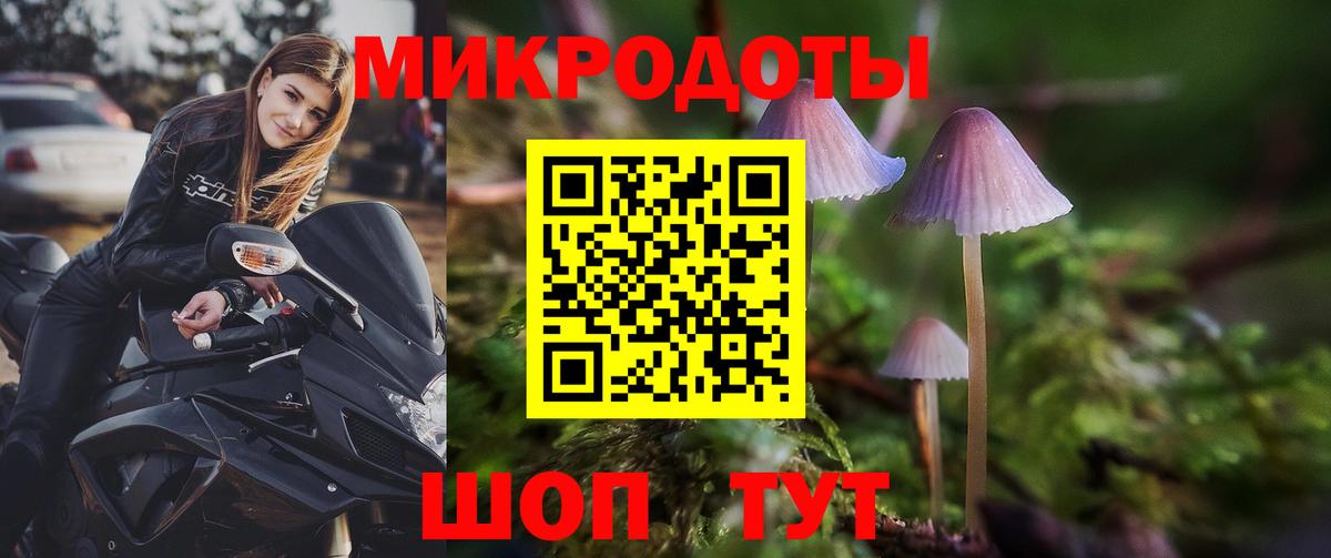 Псилоцибиновые грибы Magic Shrooms Кириши