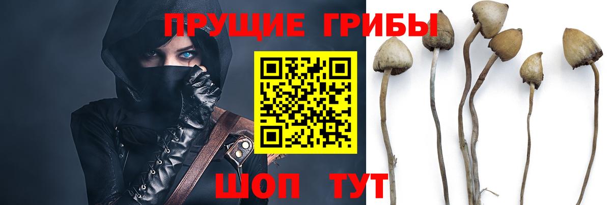 Галлюциногенные грибы мицелий  Кириши 