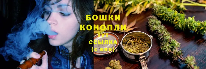 MEGA сайт  Кириши  Канабис White Widow 