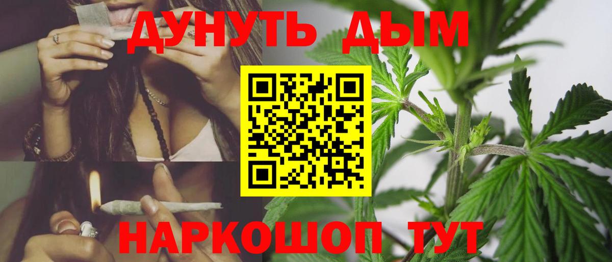 Марихуана план  Каннабис Amnesia  Кириши  Шишки марихуана White Widow  Шишки марихуана индика 